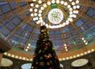 Christmas Tree wallpaper