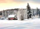 Winter Lodge wallpaper
