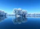Winter Lake wallpaper