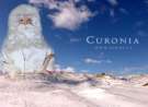 Santa Clause In The White Dune wallpaper