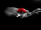 Poke Ball wallpaper