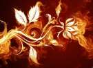 Abstract Flower wallpaper