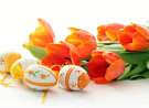 Eggs And Red Tulips wallpaper