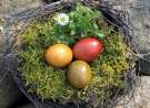 Eggs In A Nest wallpaper