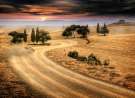 Rally At Sunset wallpaper