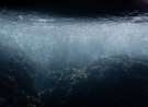 Underwater Shot wallpaper