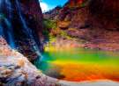 Colors of Kakadu wallpaper