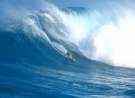 Surf wallpaper