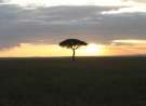 Africa wallpaper