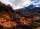 Hd Nature Wallapers wallpaper